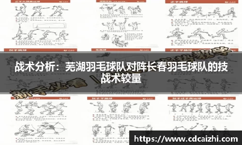 战术分析：芜湖羽毛球队对阵长春羽毛球队的技战术较量
